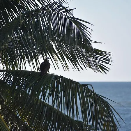 Coconut Castaway - Ocean Views, Walk To Beach, Golf Cart, Club Pool North Captiva Exterior photo